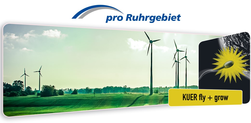 Das Logo des Pro Ruhrgebiet e.V.
