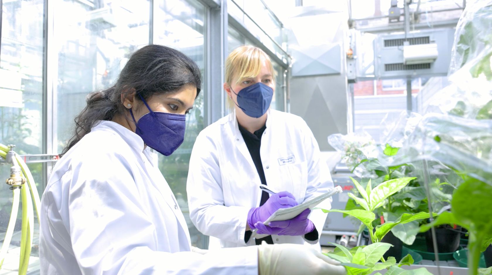 Zwei Frauen in Laborkitteln mit Versuchspflanzen
