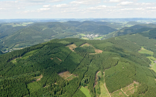 Lufaufnahme eines bewaldeten Mittelgebirges