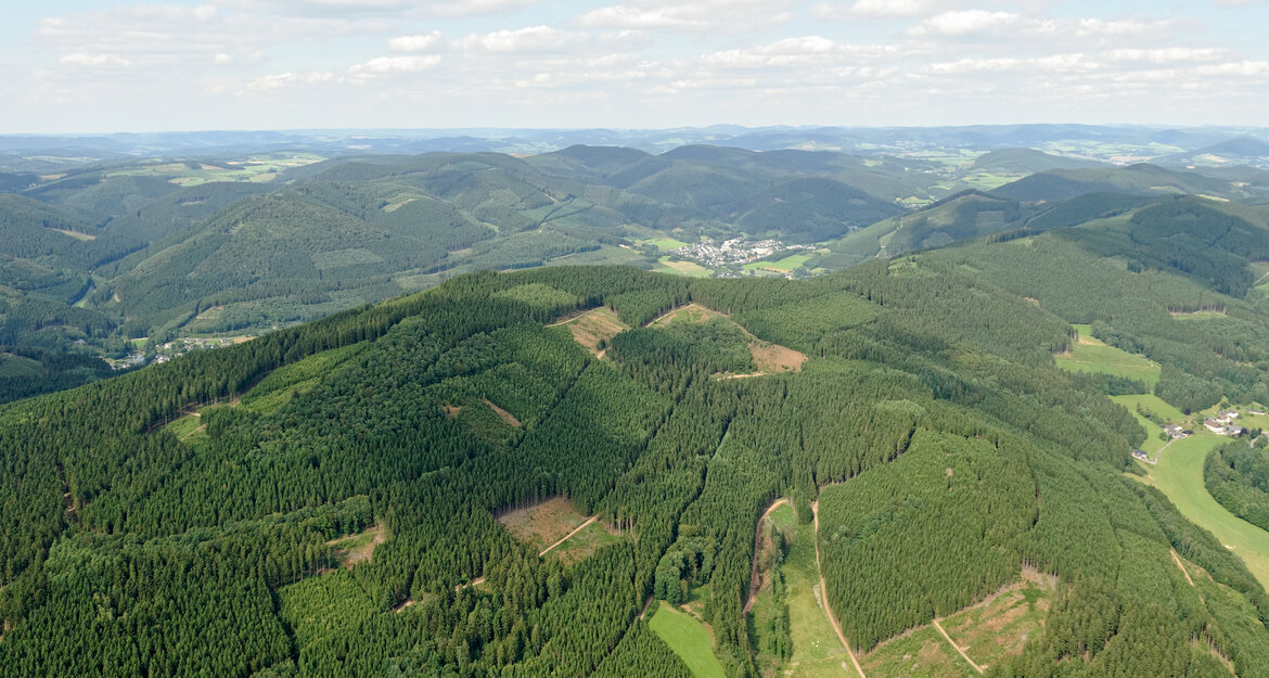 Lufaufnahme eines bewaldeten Mittelgebirges