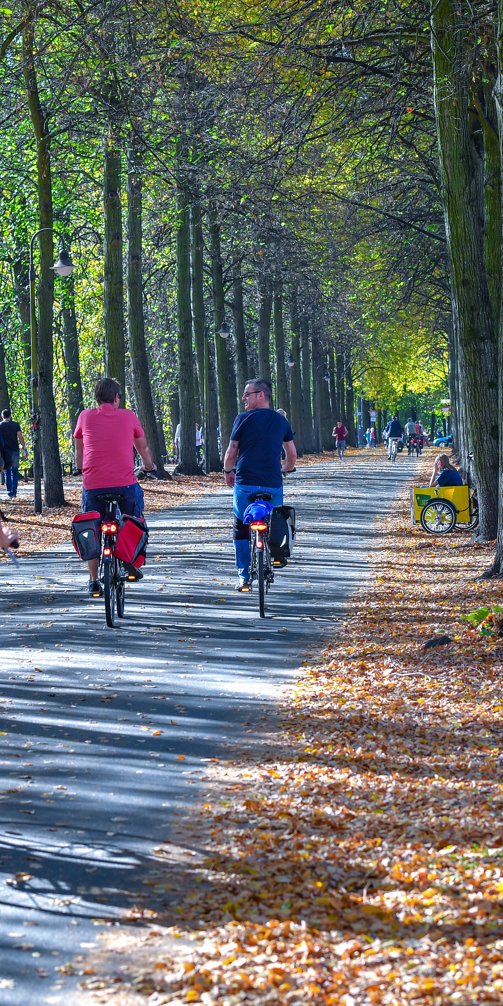 Radfahrende unter Bäumen auf der Promenade in Münster
