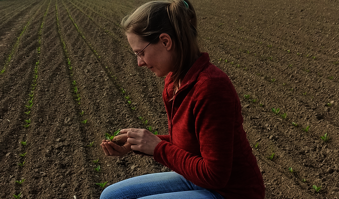 Eine junge Wissenschaftlerin kniet in einem Feld mit keimenden Zuckerrüben