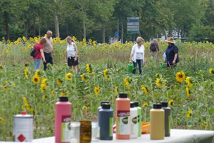 Menschen in einem Sonnenblumenfeld