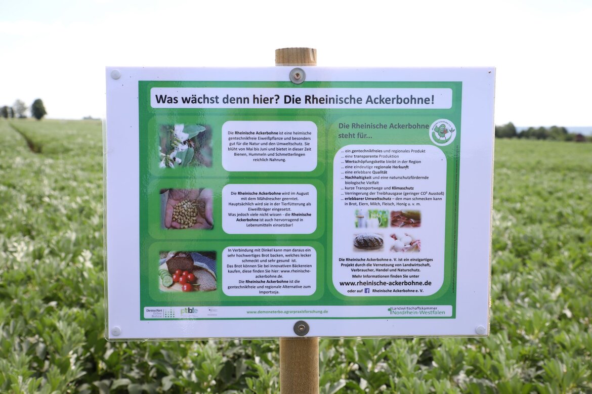 Ein Schild auf einem Feld beschreibt die Vorteile der Ackerbohne als gentechnikfreier Eiweißlieferant