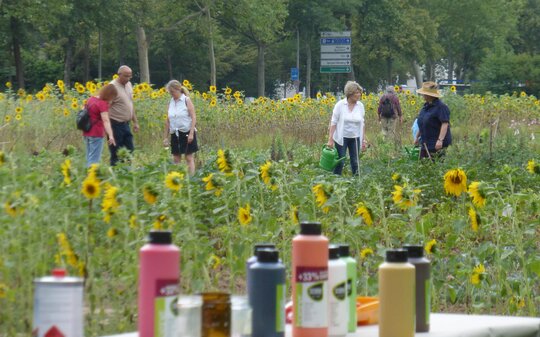 Menschen in einem Sonnenblumenfeld