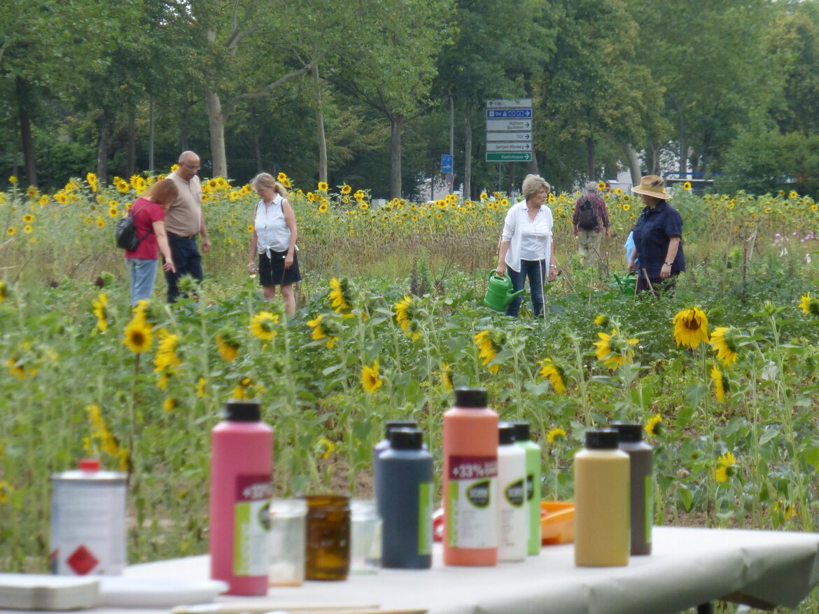 Menschen in einem Sonnenblumenfeld