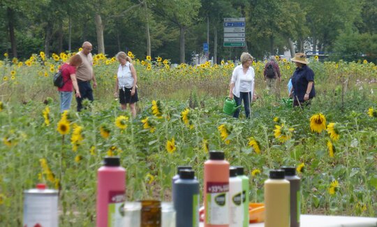 Menschen in einem Sonnenblumenfeld