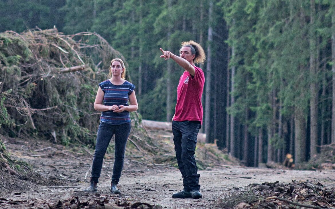Zwei Personen auf einem Waldweg, im Hintergrund frisch geschlagenes Holz