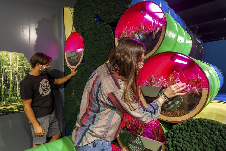 Zwei Ausstellungsbesucher schauen in bunte Röhren