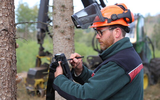 Mann mit Helm steht an einem Baum und erfasst Daten