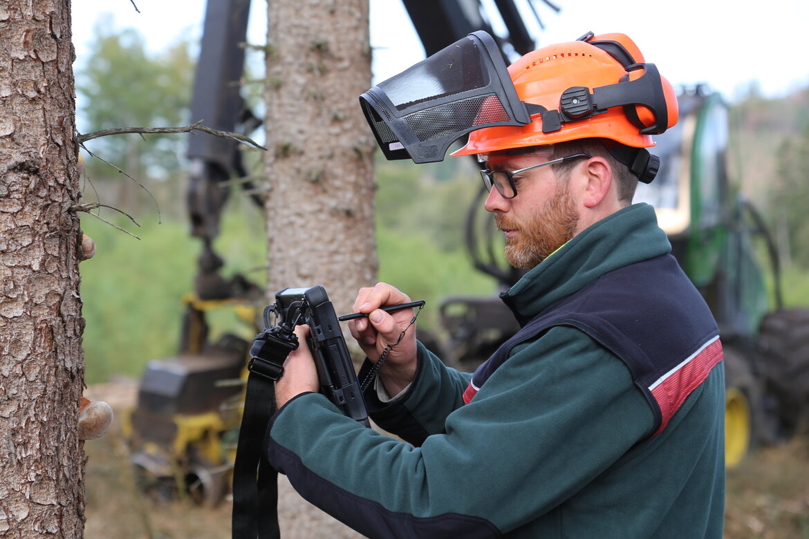 Mann mit Helm steht an einem Baum und erfasst Daten