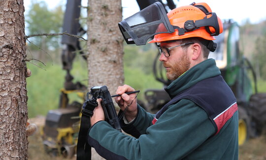 Mann mit Helm steht an einem Baum und erfasst Daten